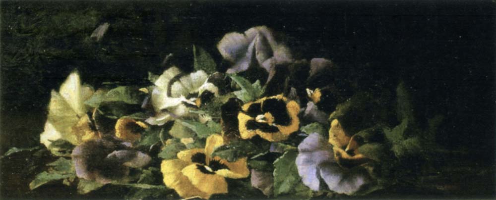 Pansies